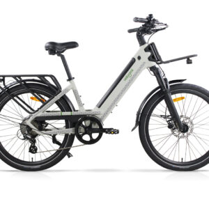 Veloomi Daily Electric Bike