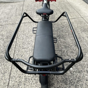 Benno Boost Cargo Bike